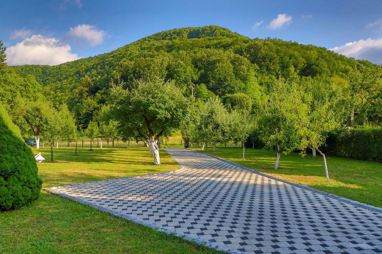 Holiday Home Villa Sara Bihać エクステリア 写真