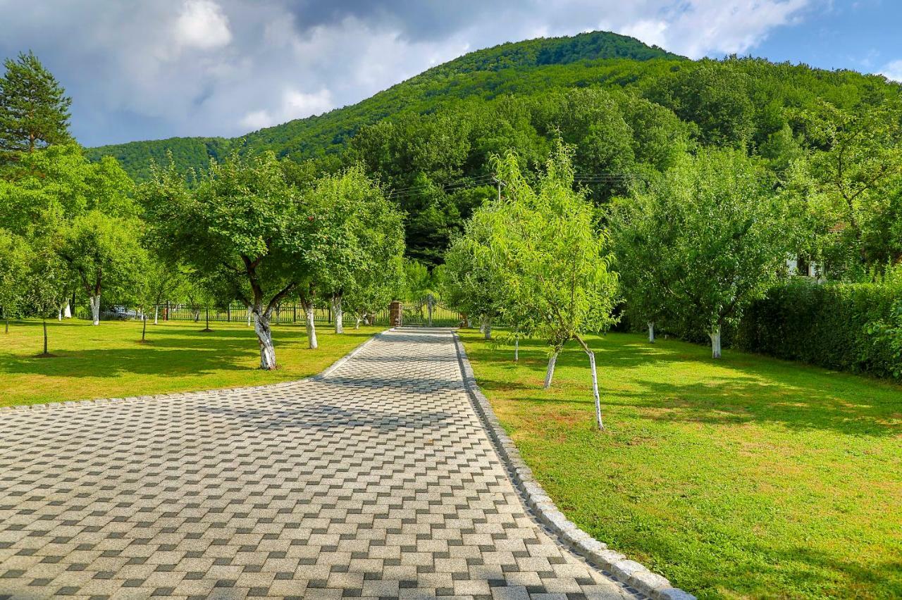 Holiday Home Villa Sara Bihać エクステリア 写真