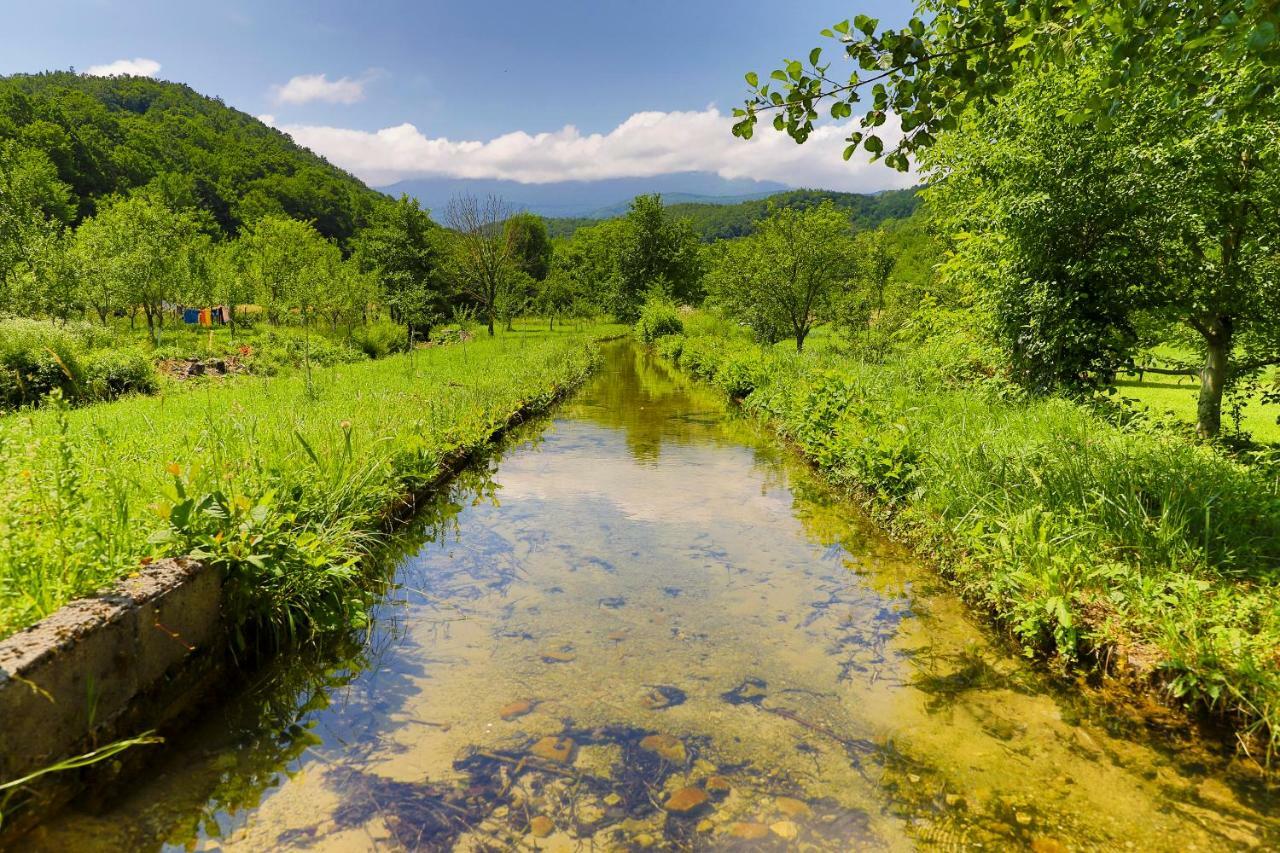 Holiday Home Villa Sara Bihać エクステリア 写真